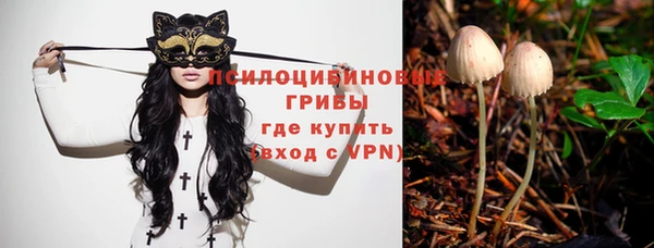 гашик Нефтегорск