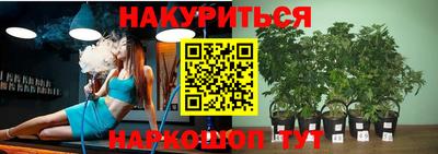 ECSTASY Будённовск