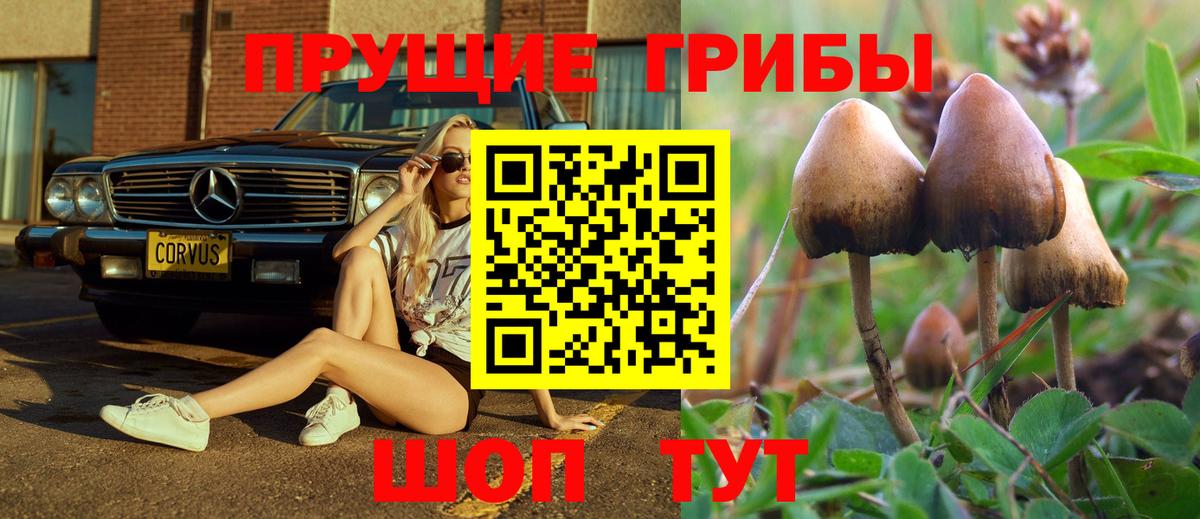 Ирбит  Галлюциногенные грибы прущие грибы  как найти закладки  Вход с VPN 