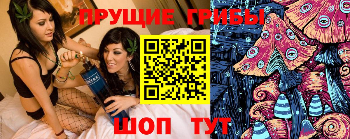 Галлюциногенные грибы Magic Shrooms  Ирбит  закладка  Галлюциногенные грибы прущие грибы 